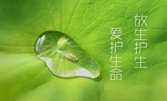 输了赌局，却成了赢家。读一休禅师故事想到的